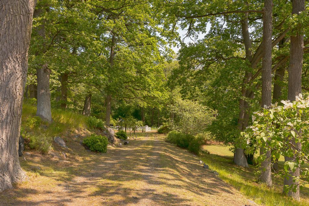 Sweden estate