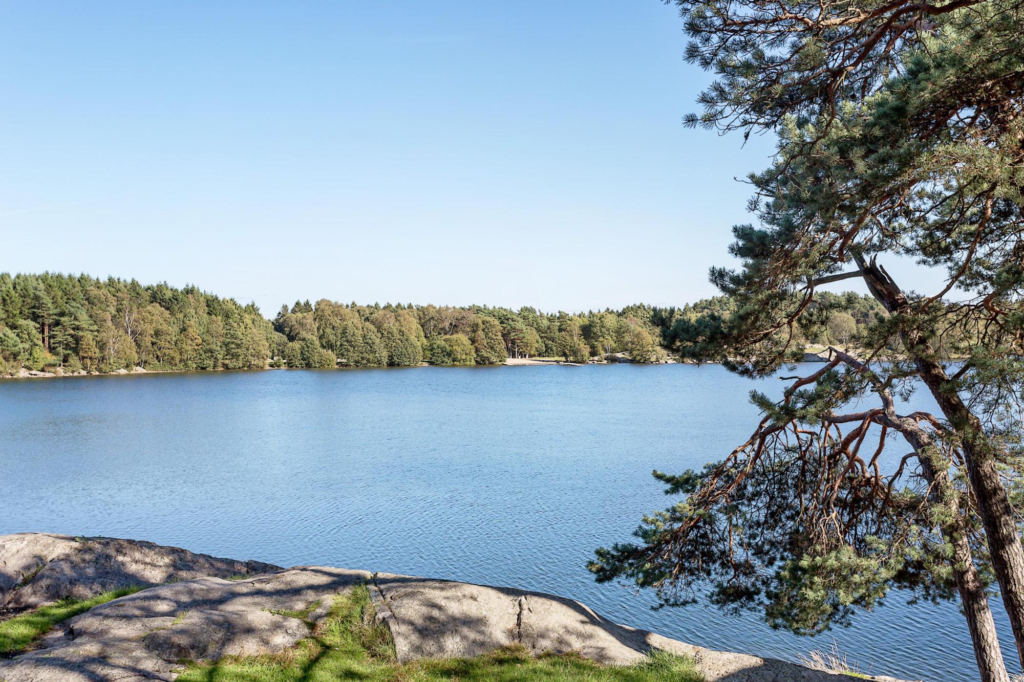 Sweden estate