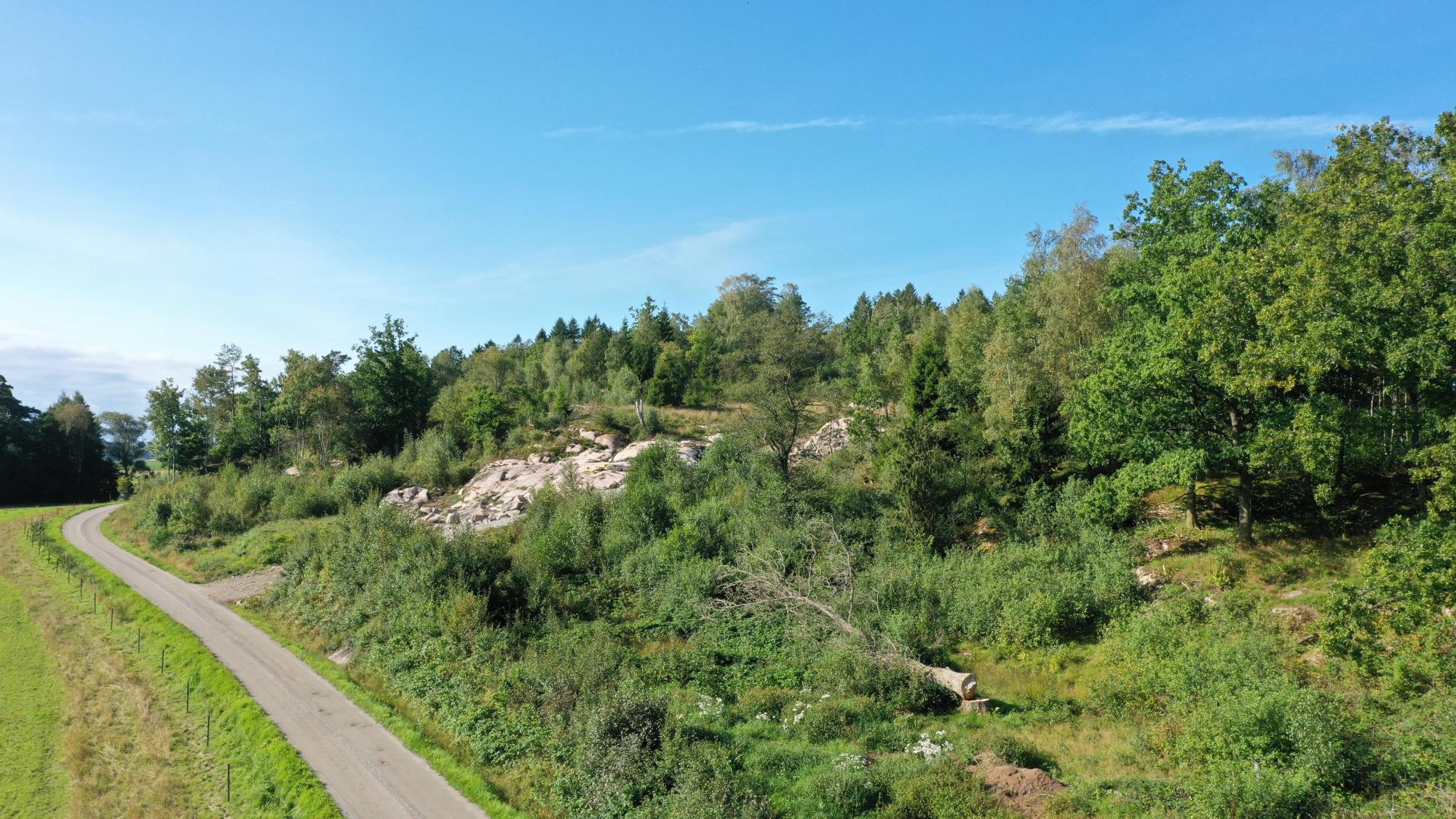 Sweden estate