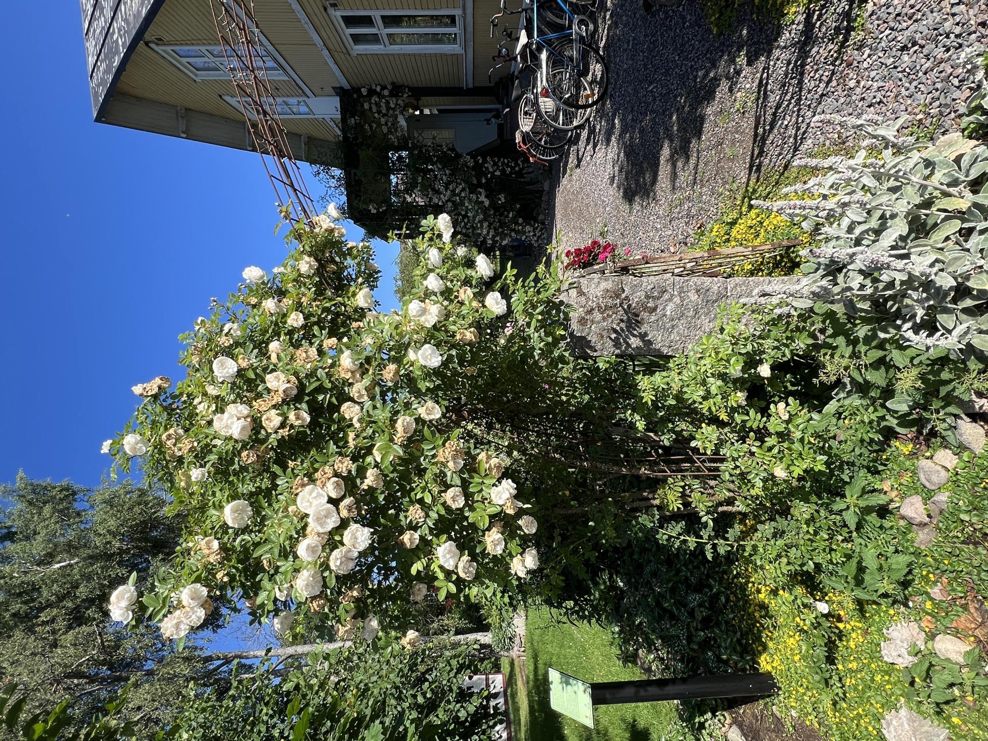 Sweden estate