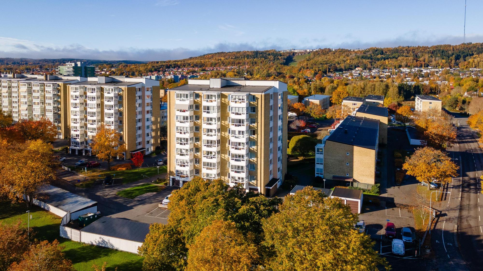 Sweden estate
