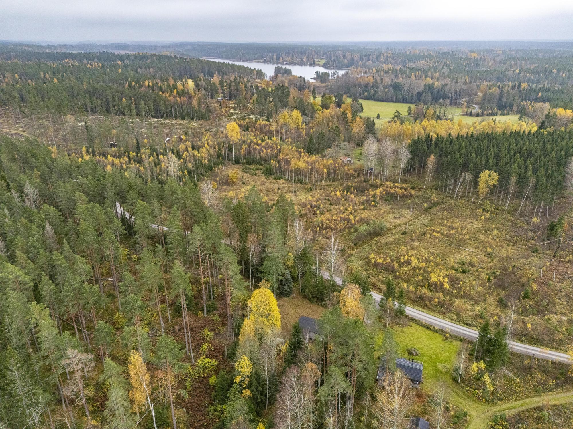 Sweden estate
