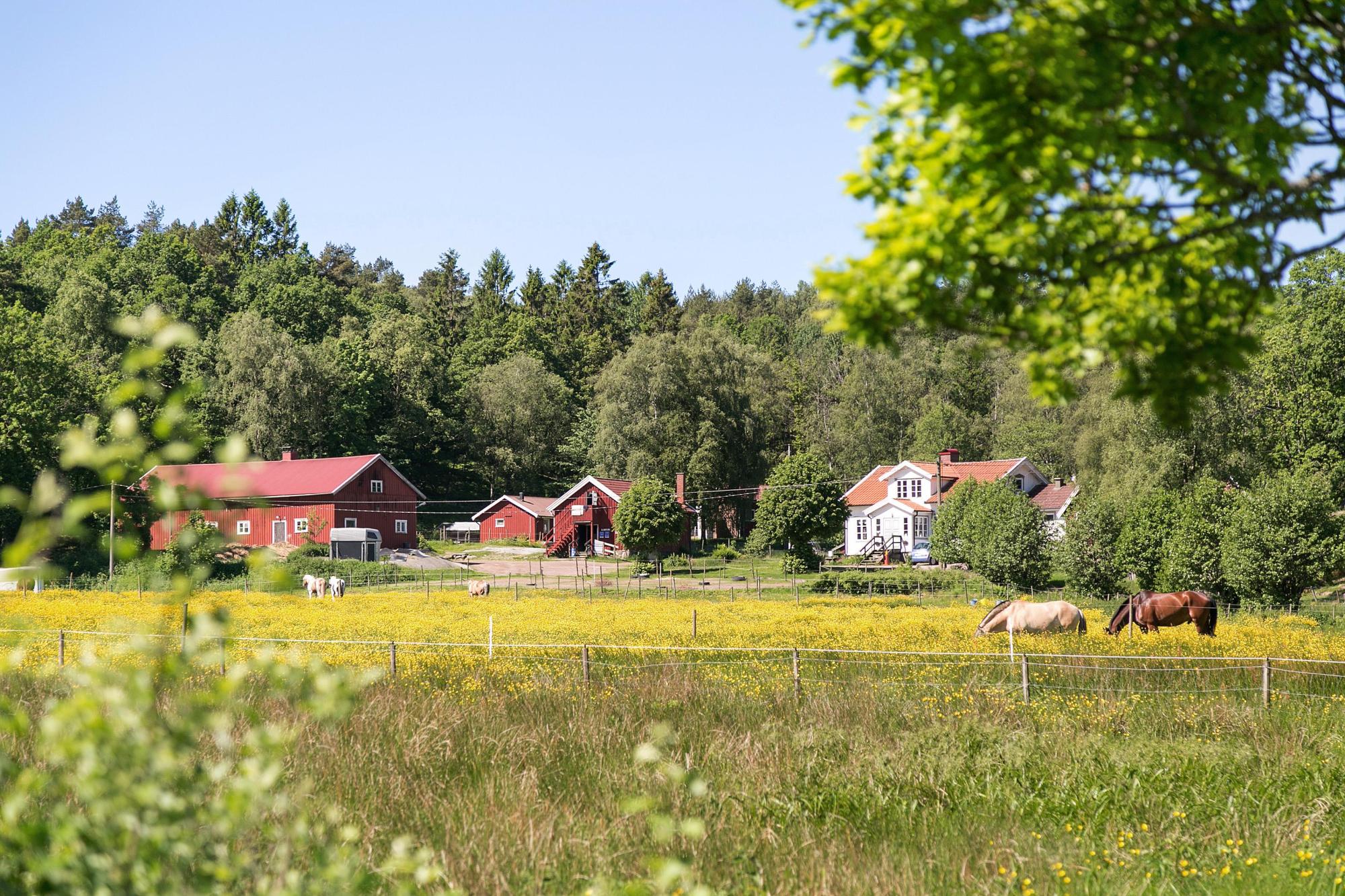 Sweden estate
