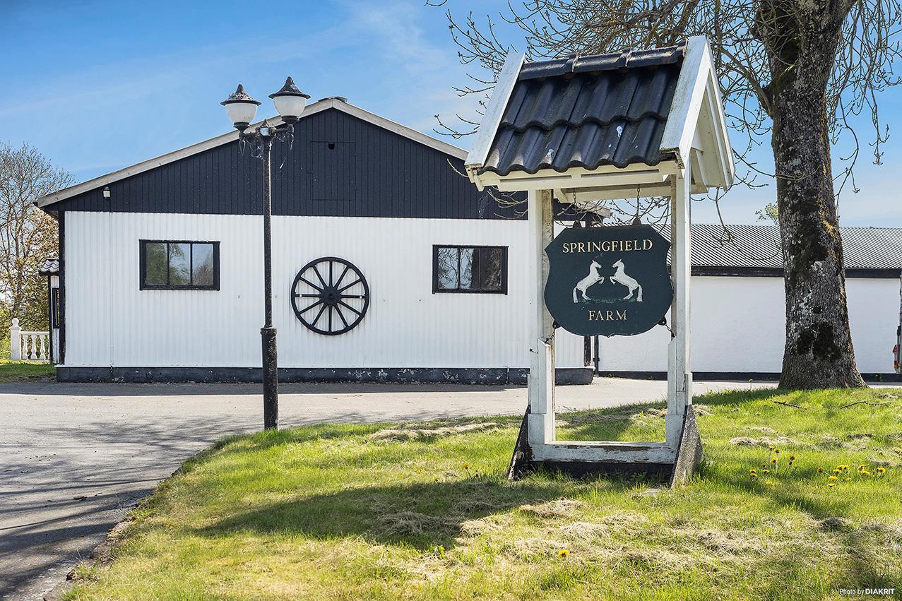 Sweden estate
