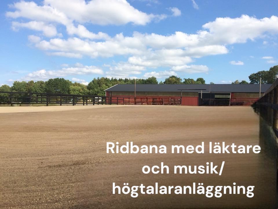 Sweden estate