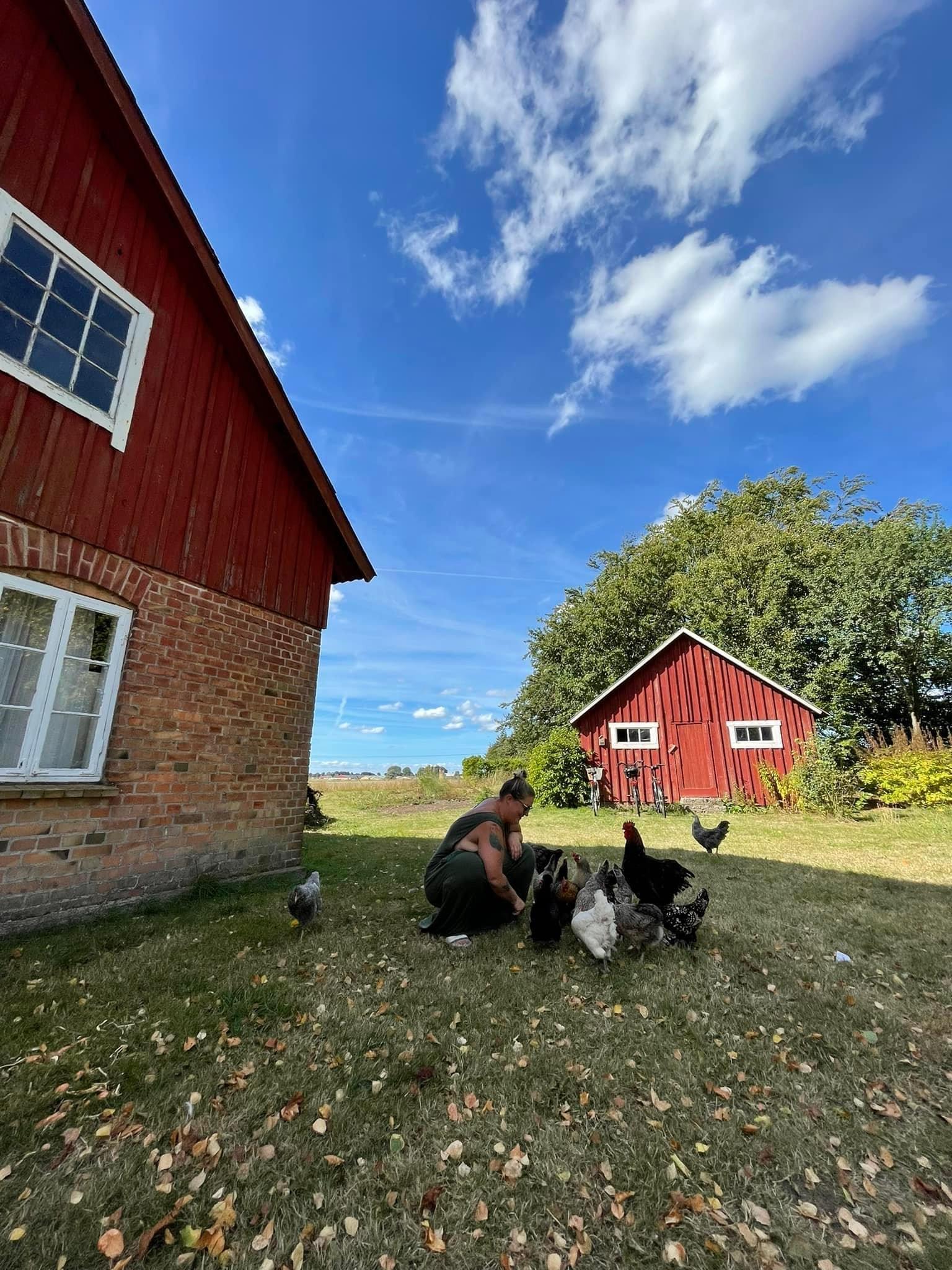 Sweden estate