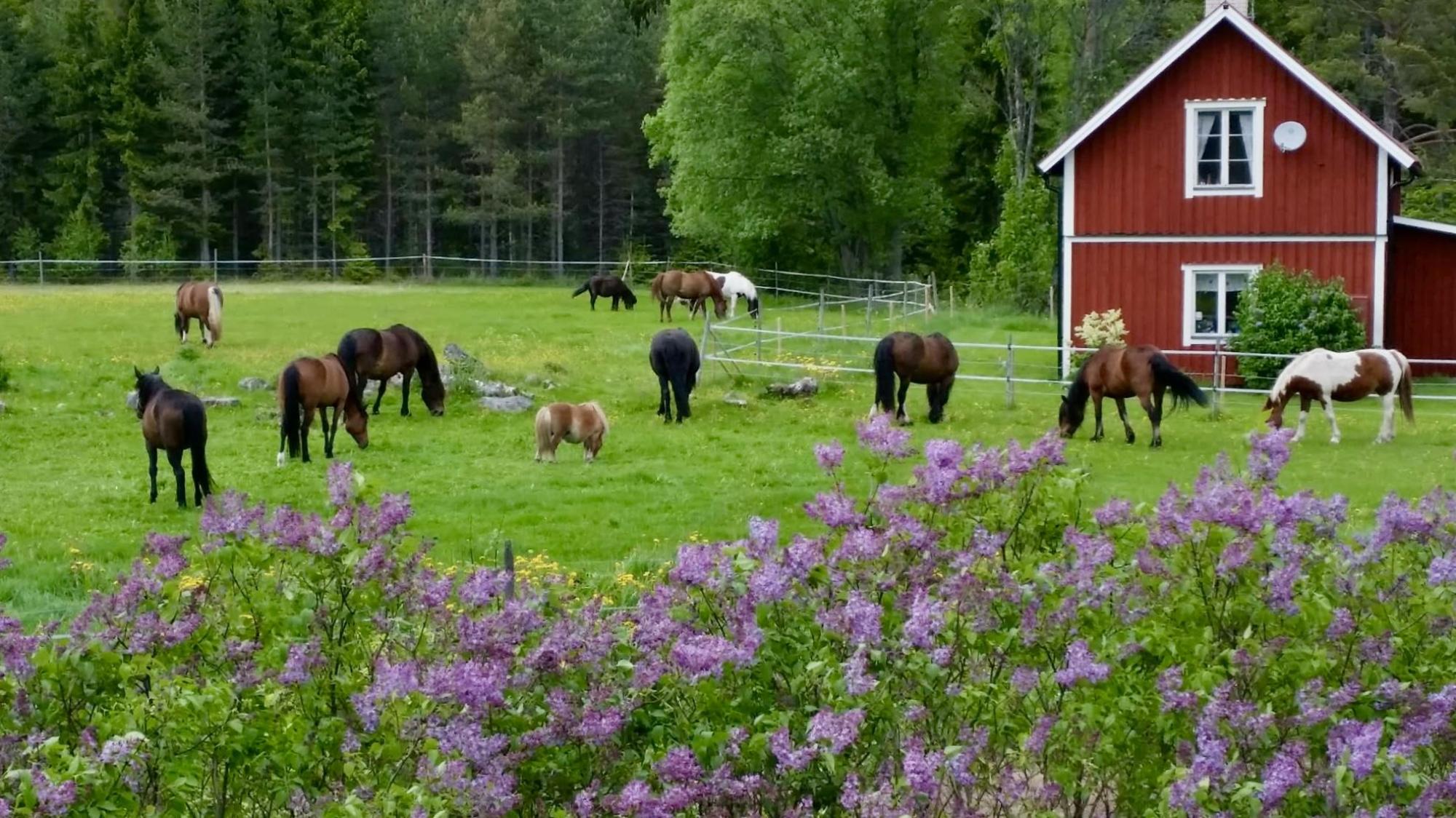 Sweden estate
