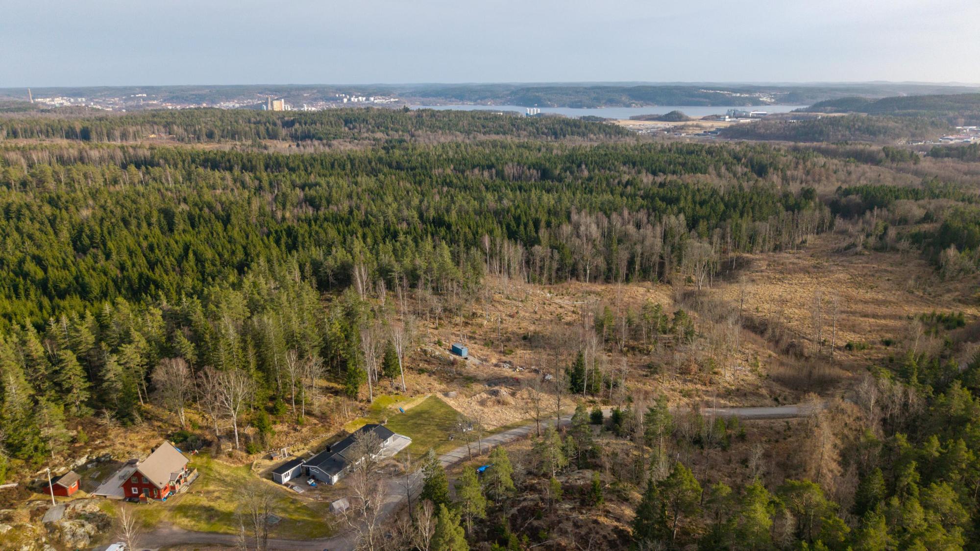 Sweden estate