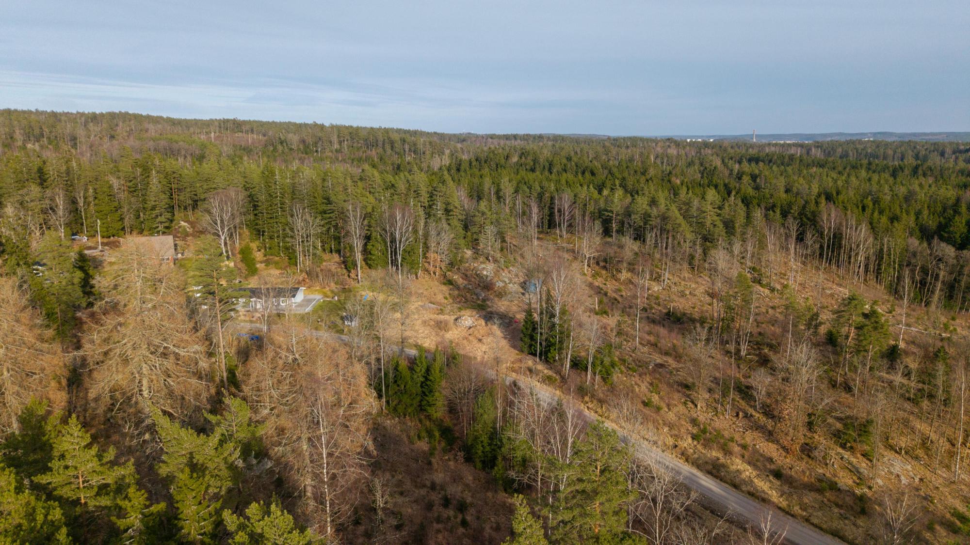 Sweden estate