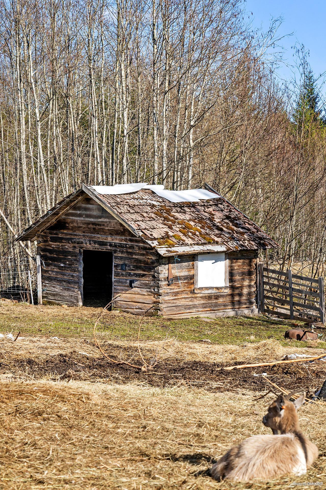 Sweden estate