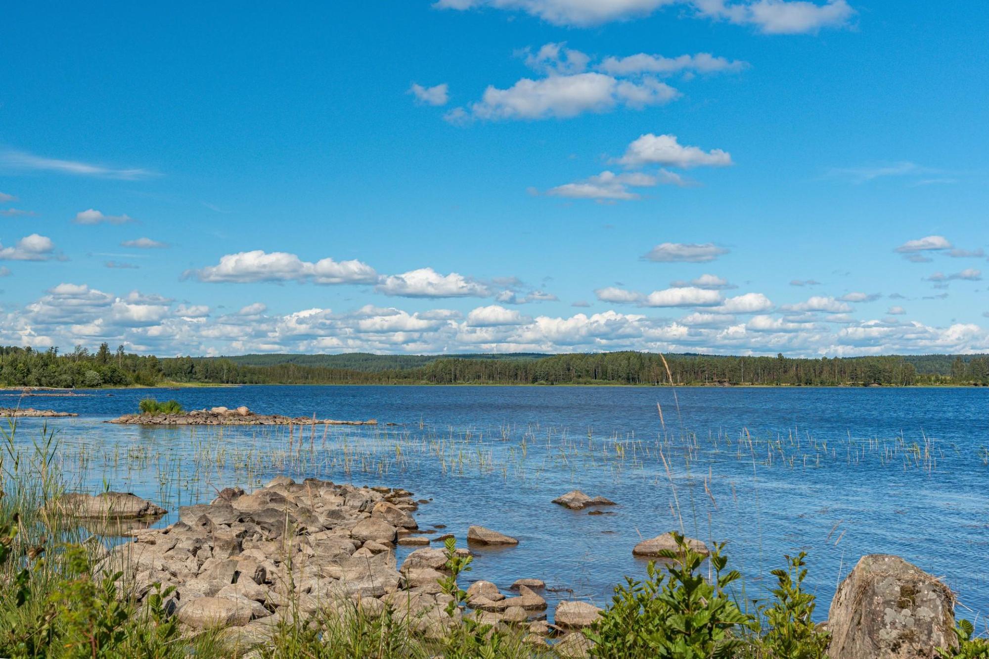 Sweden estate