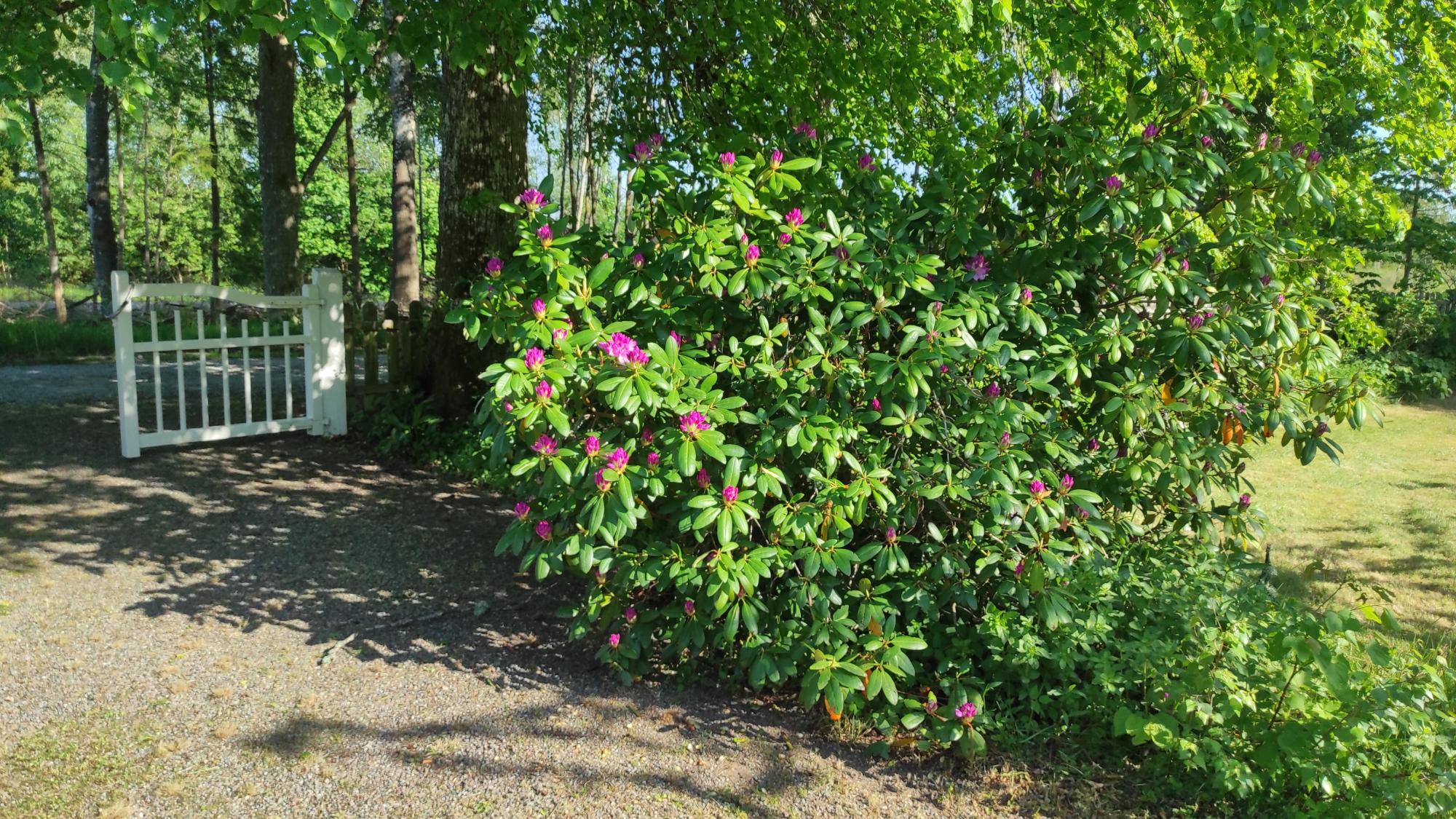 Sweden estate