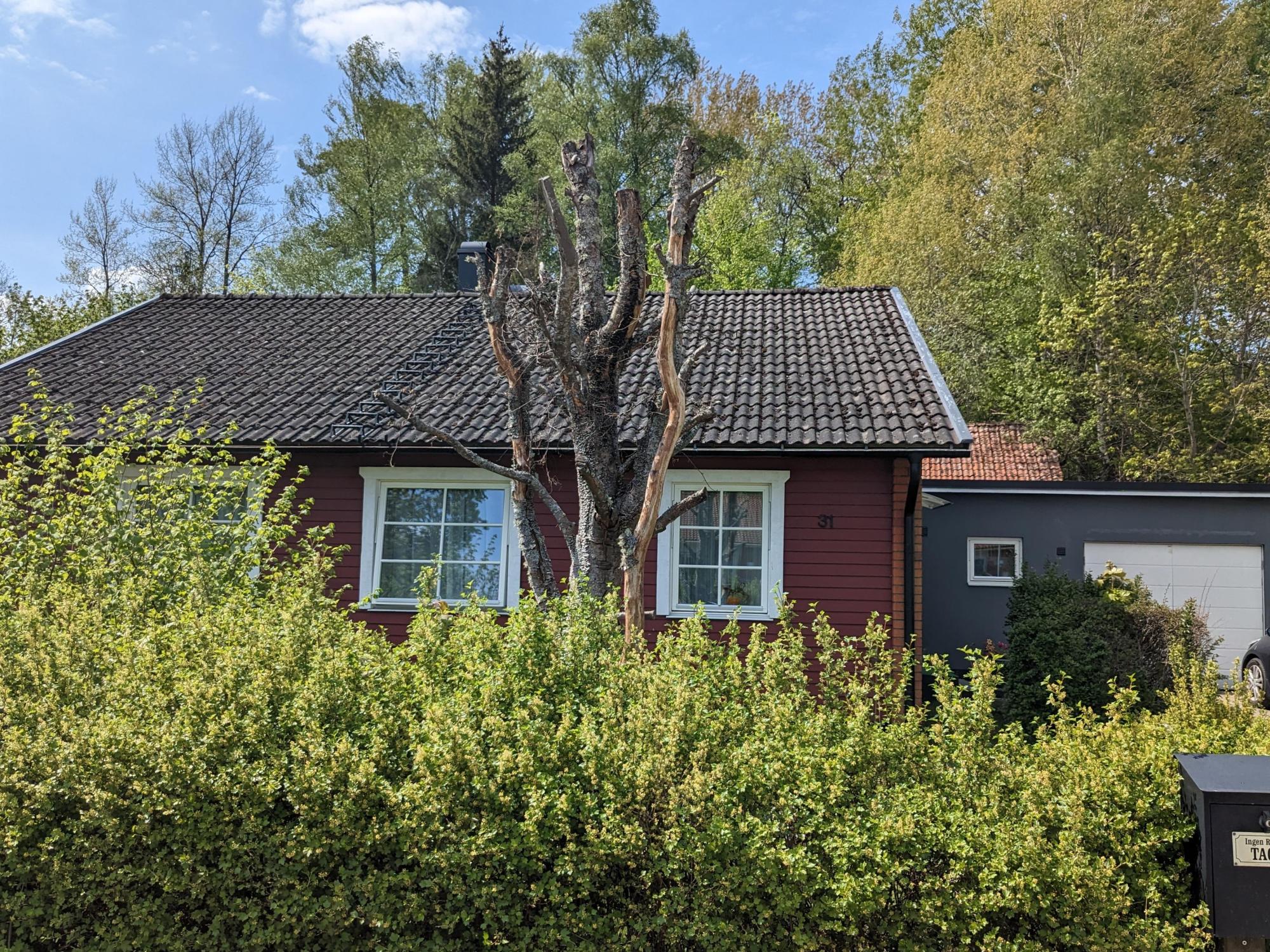 Sweden estate