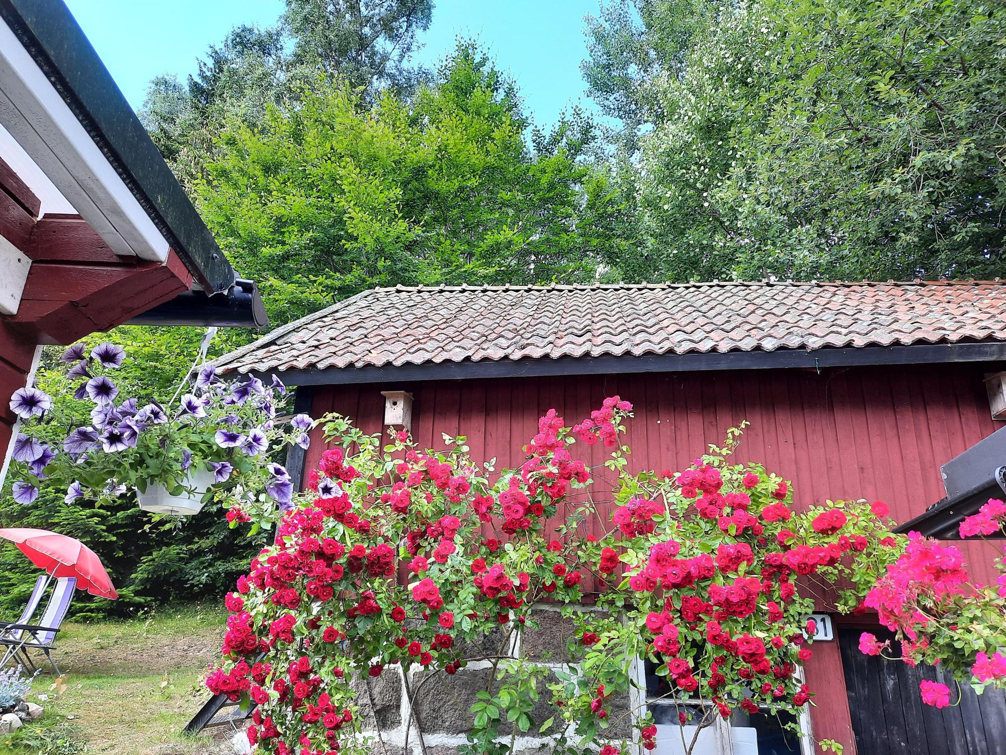 Sweden estate