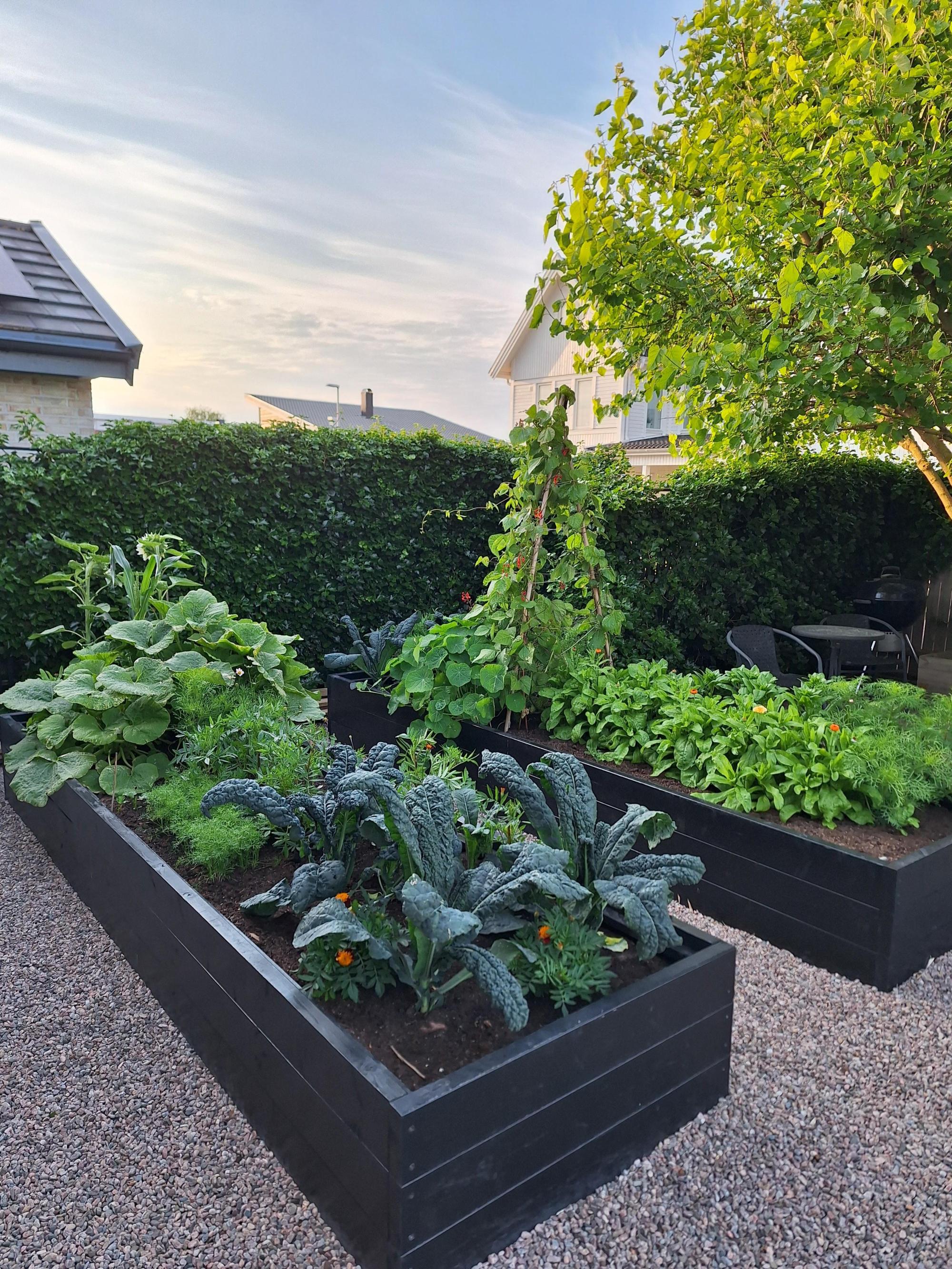 Sweden estate