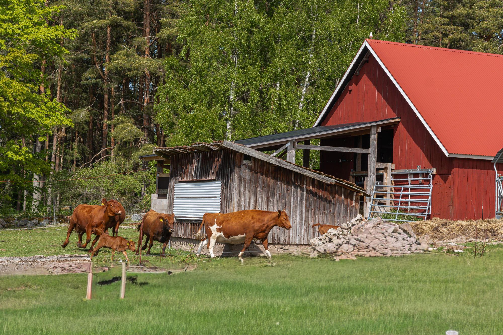 Sweden estate