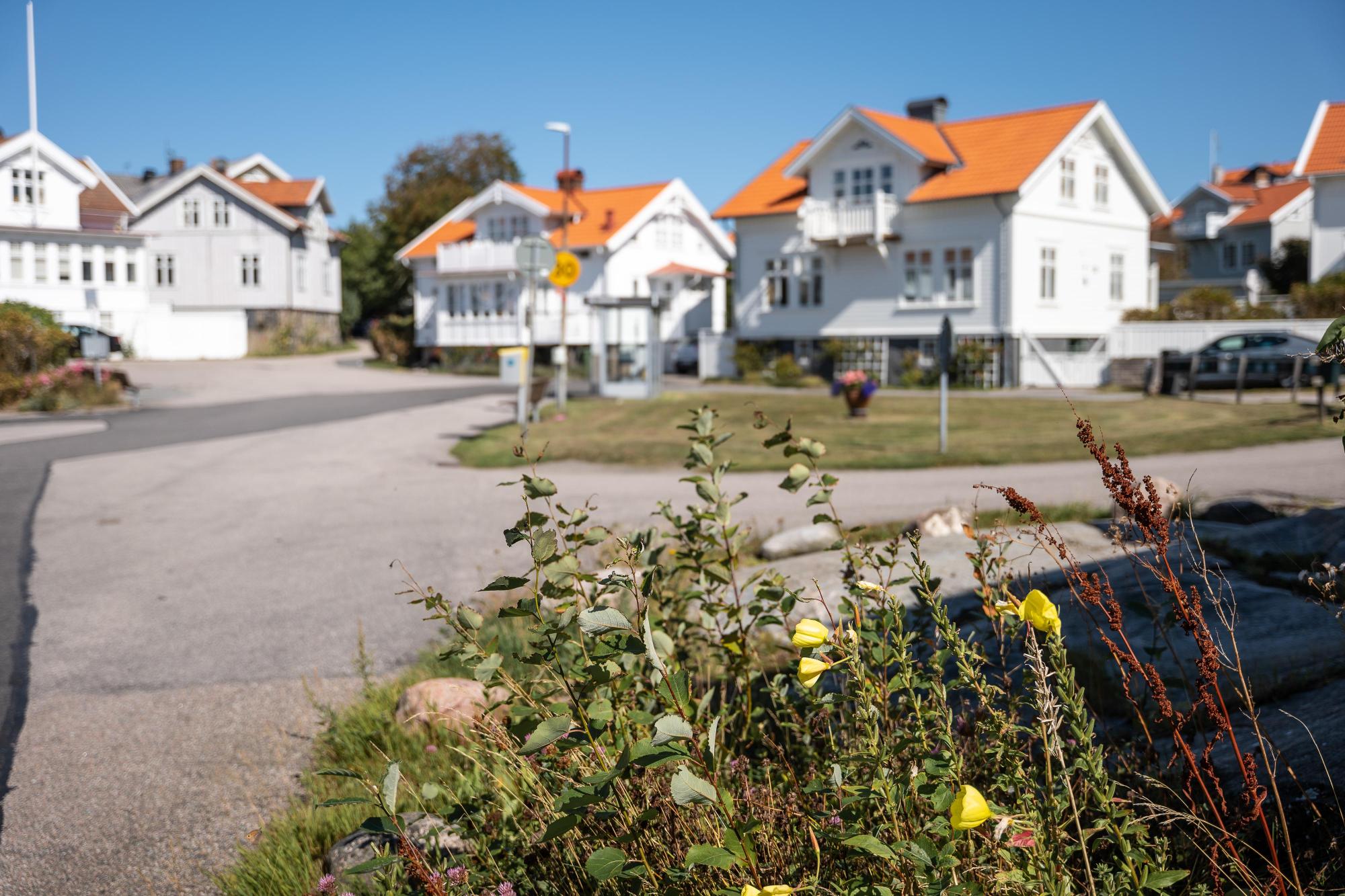 Sweden estate
