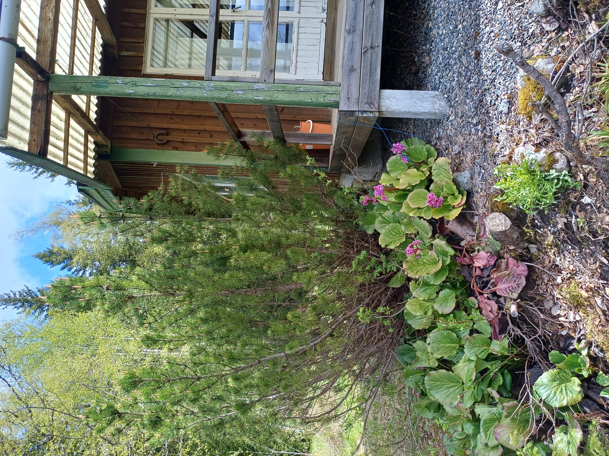 Sweden estate