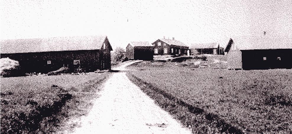 Sweden estate
