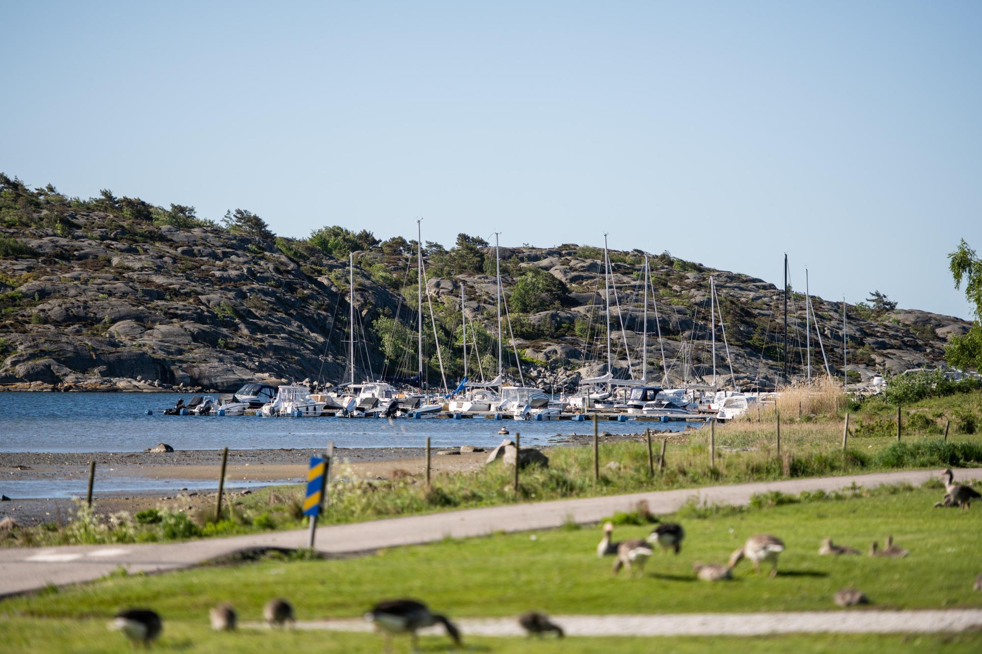 Sweden estate