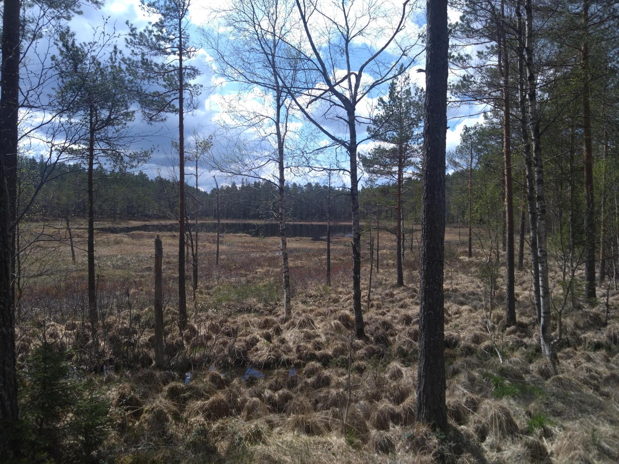 Sweden estate