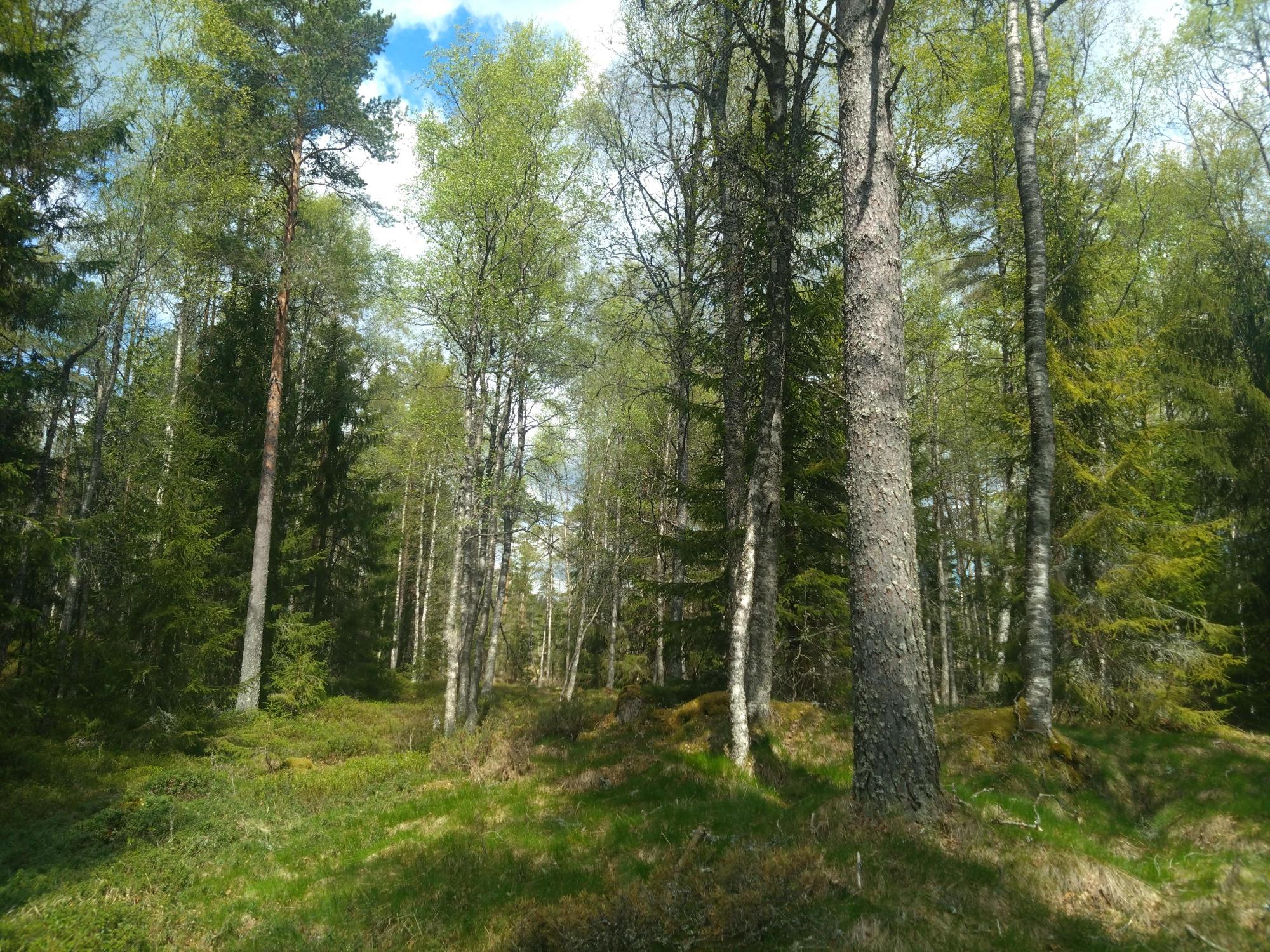 Sweden estate