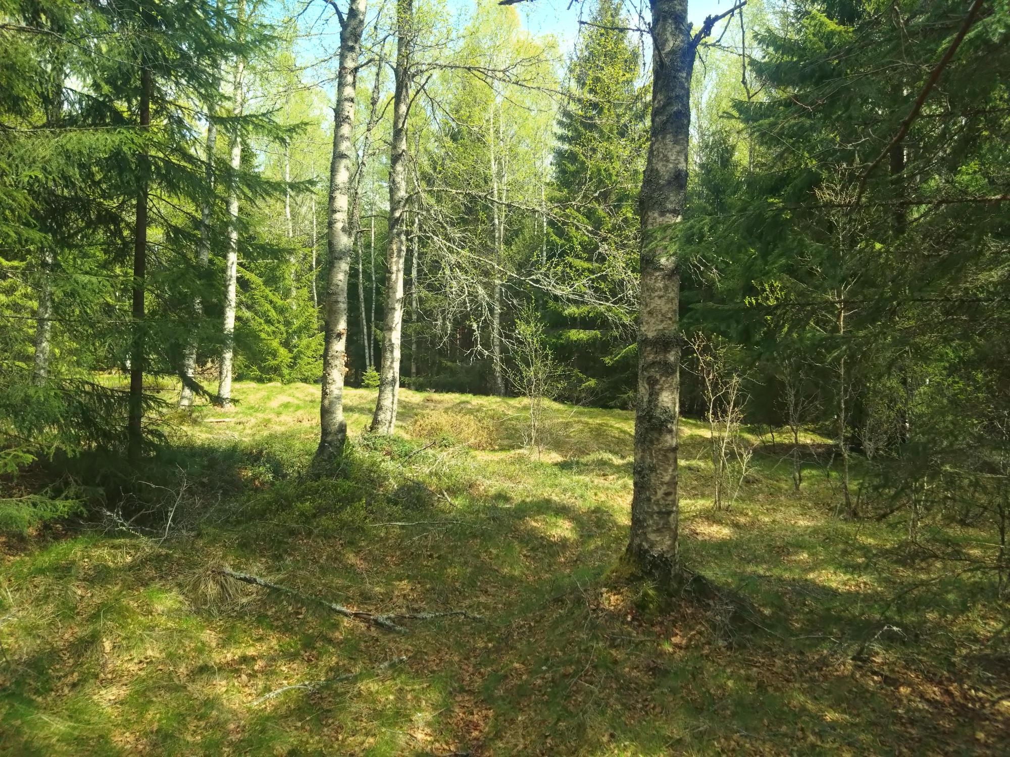 Sweden estate