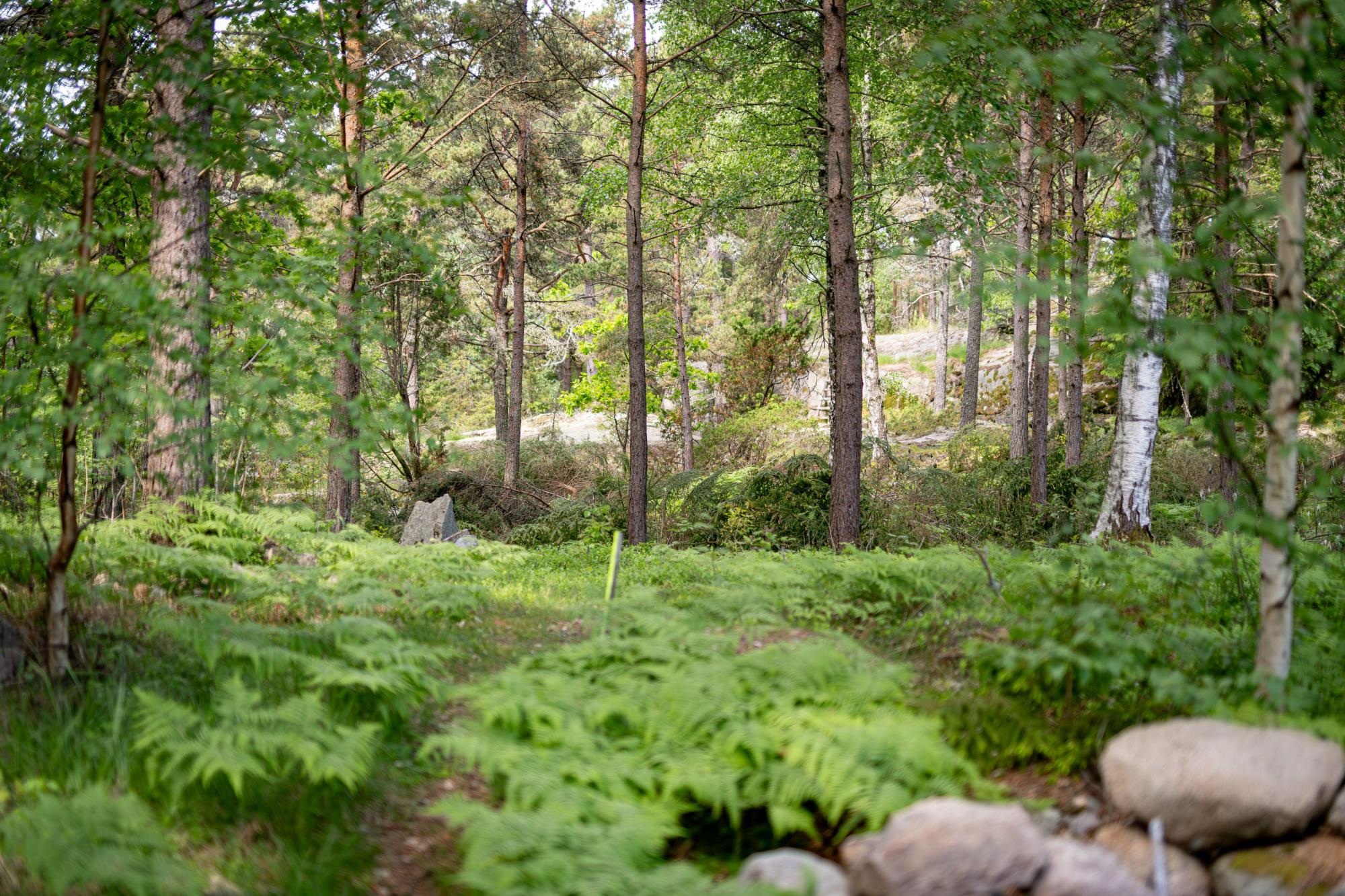 Sweden estate