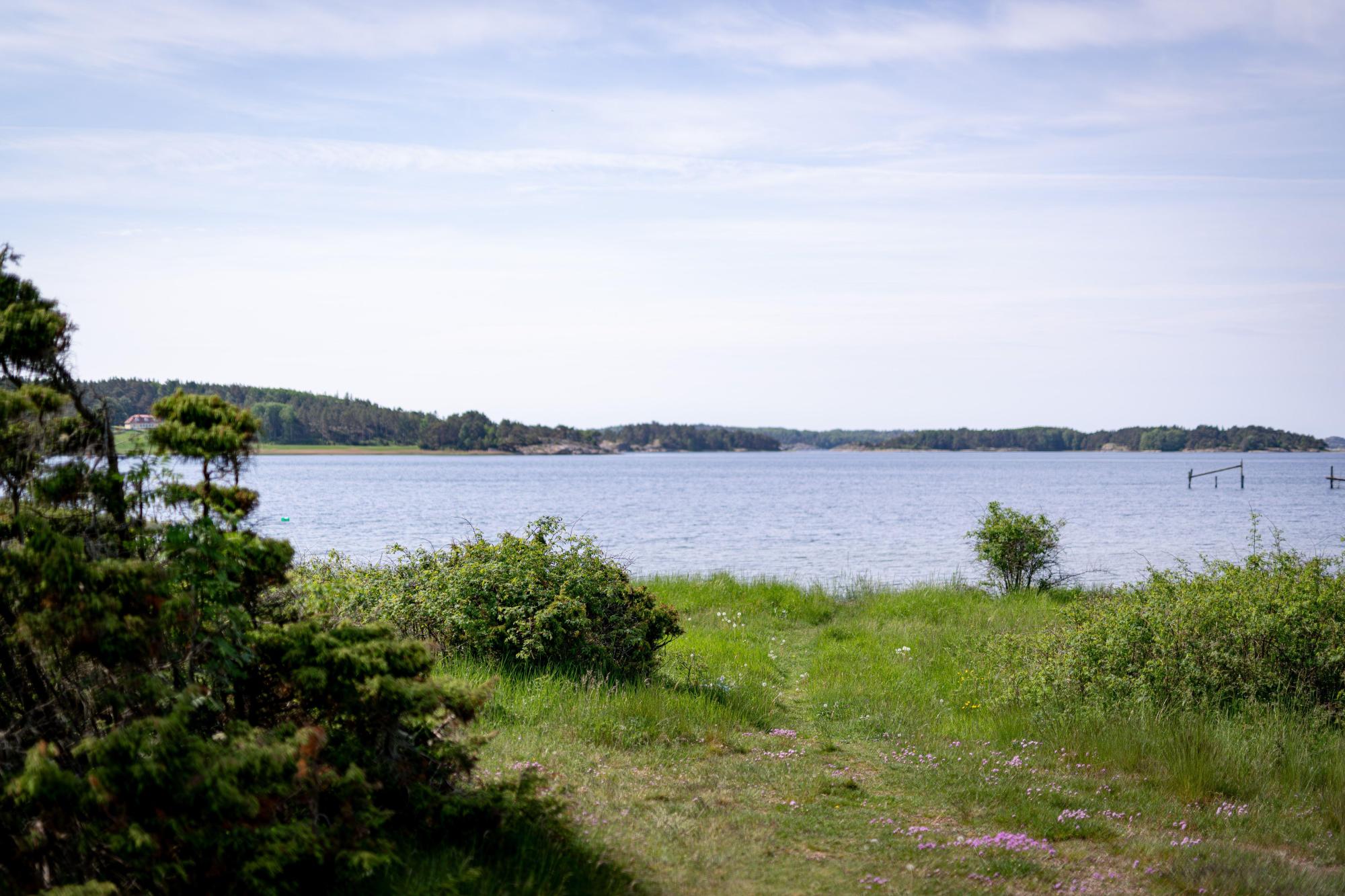 Sweden estate