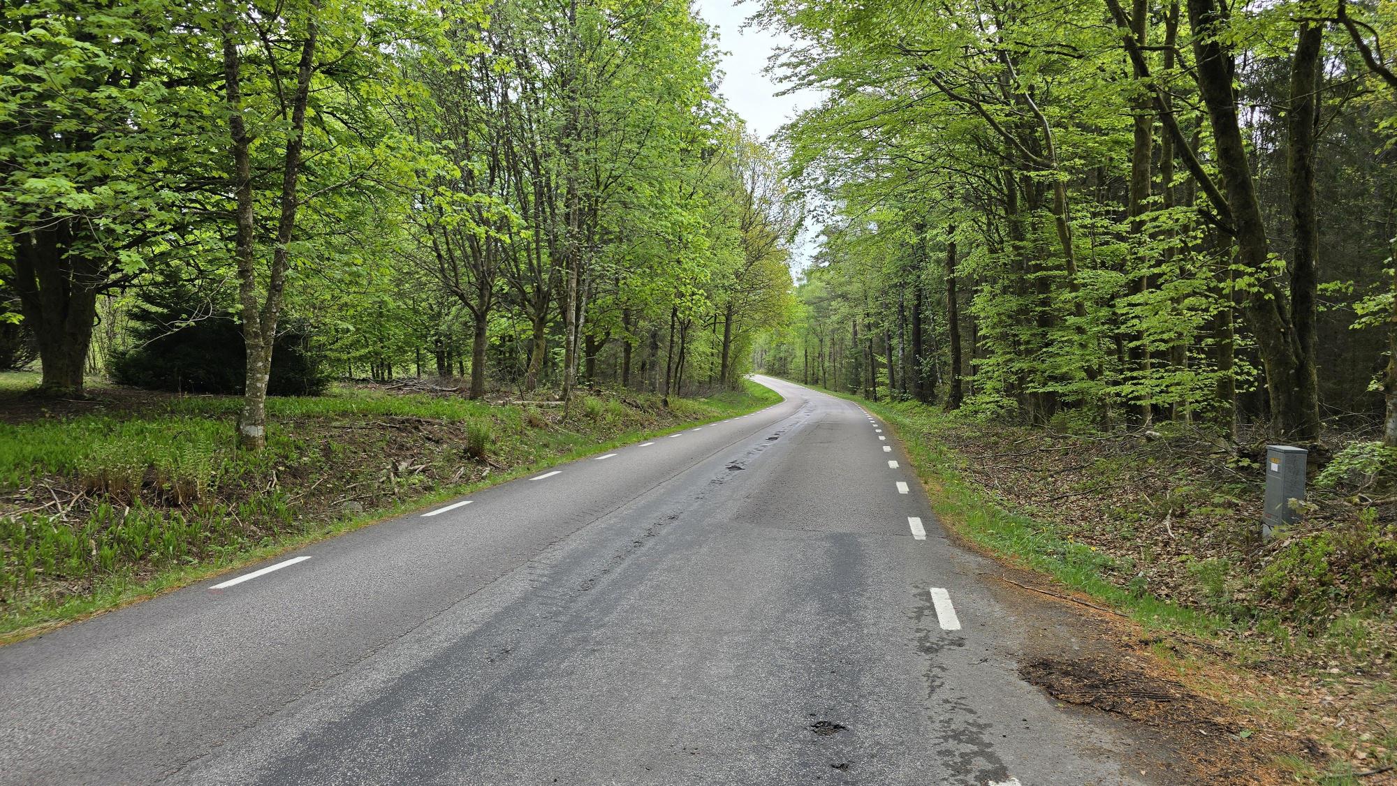 Sweden estate