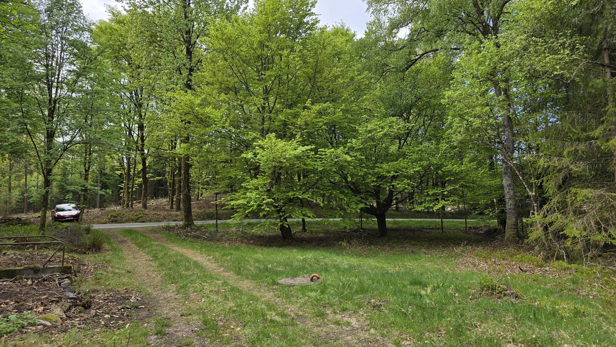 Sweden estate