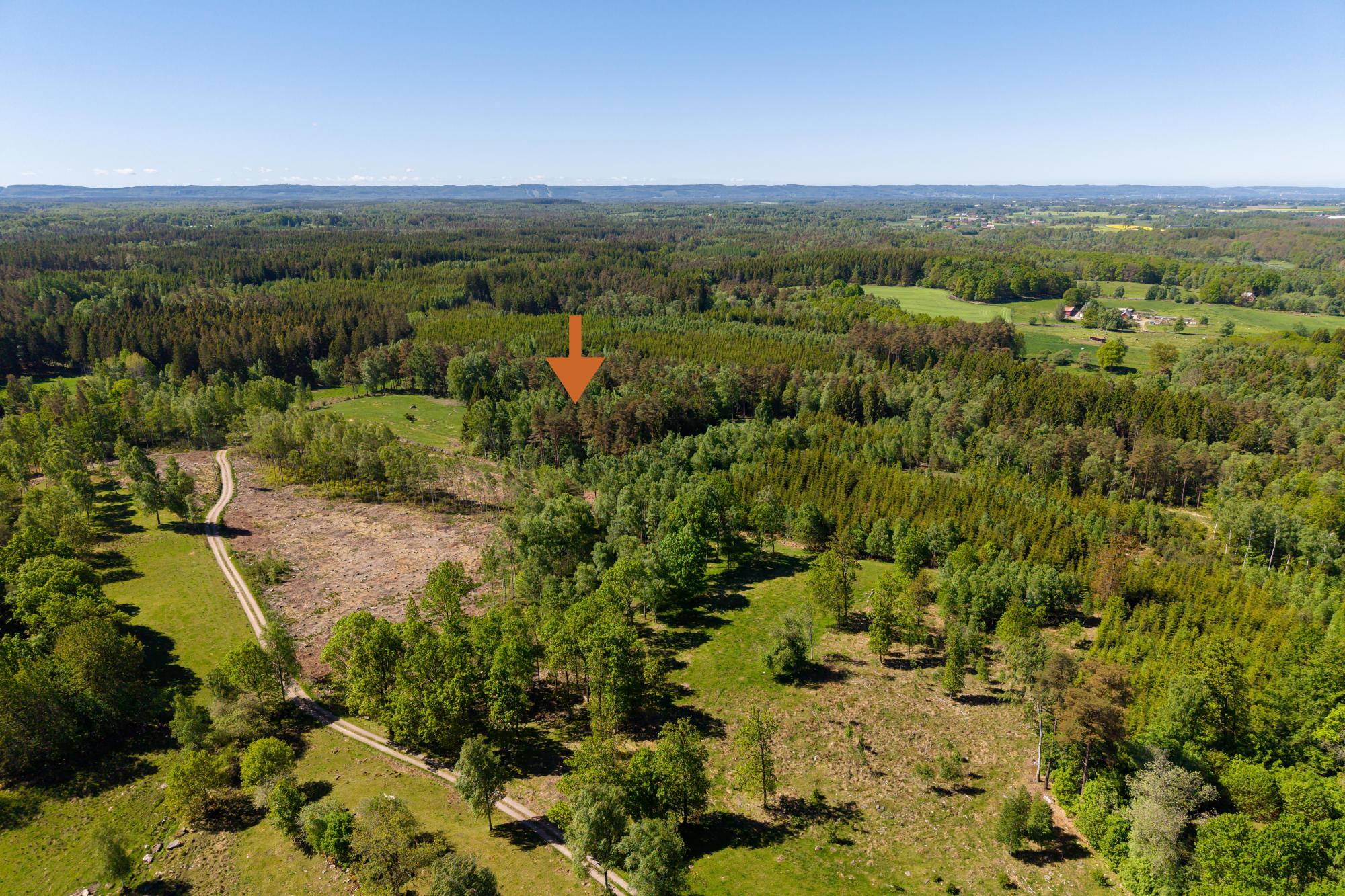 Sweden estate