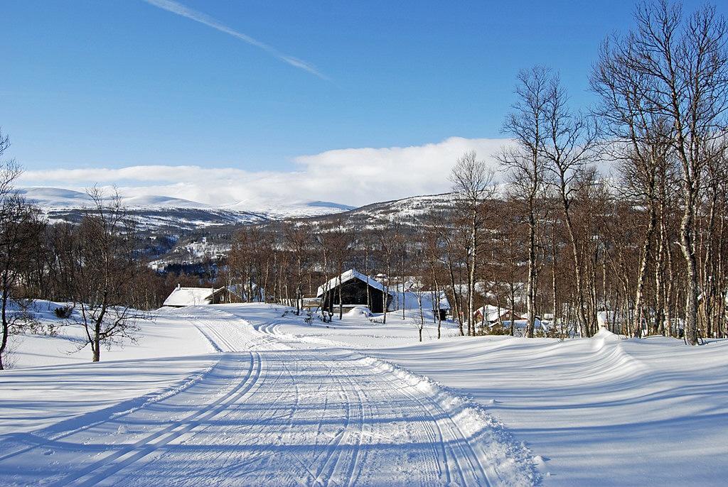 Sweden estate