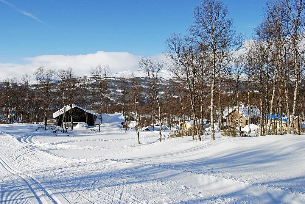 Sweden estate