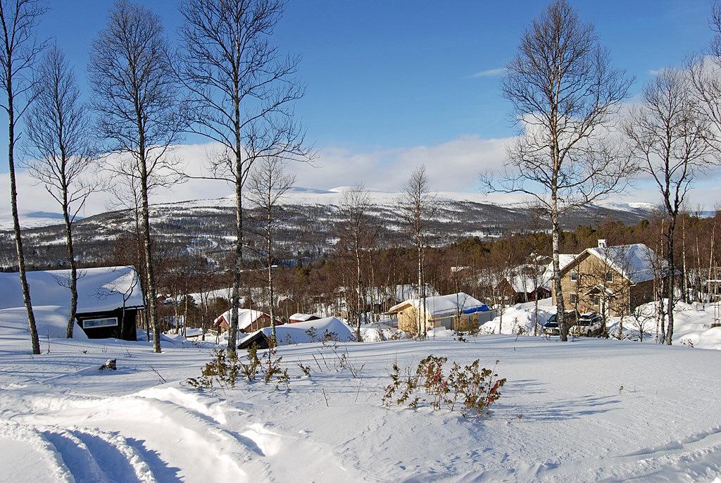 Sweden estate
