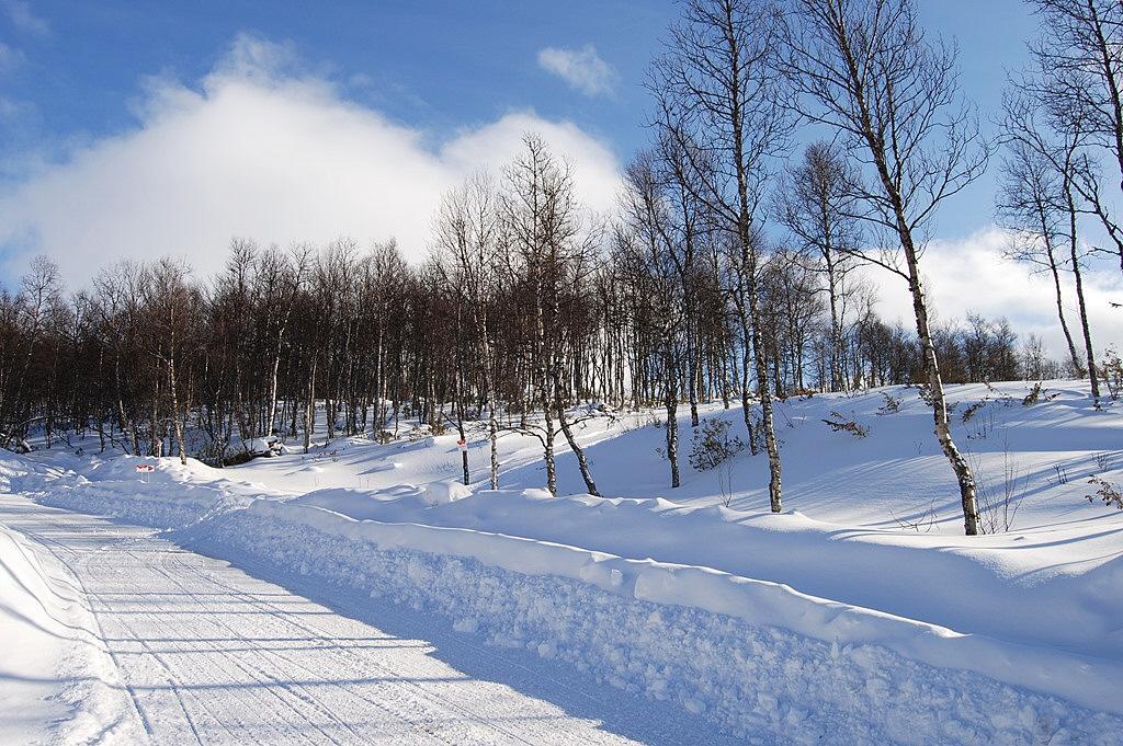 Sweden estate