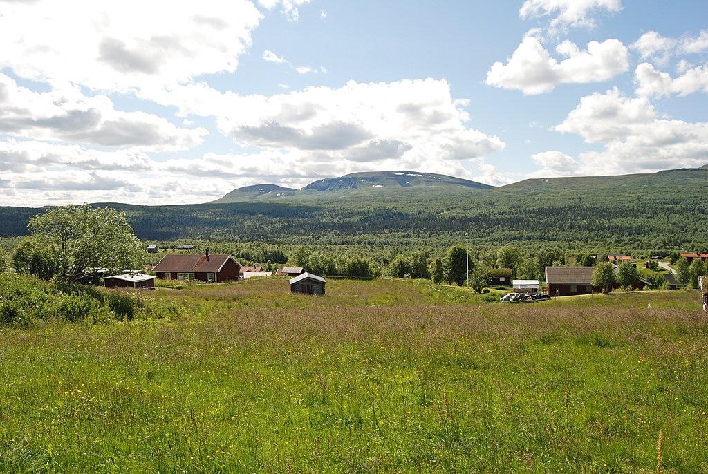 Sweden estate