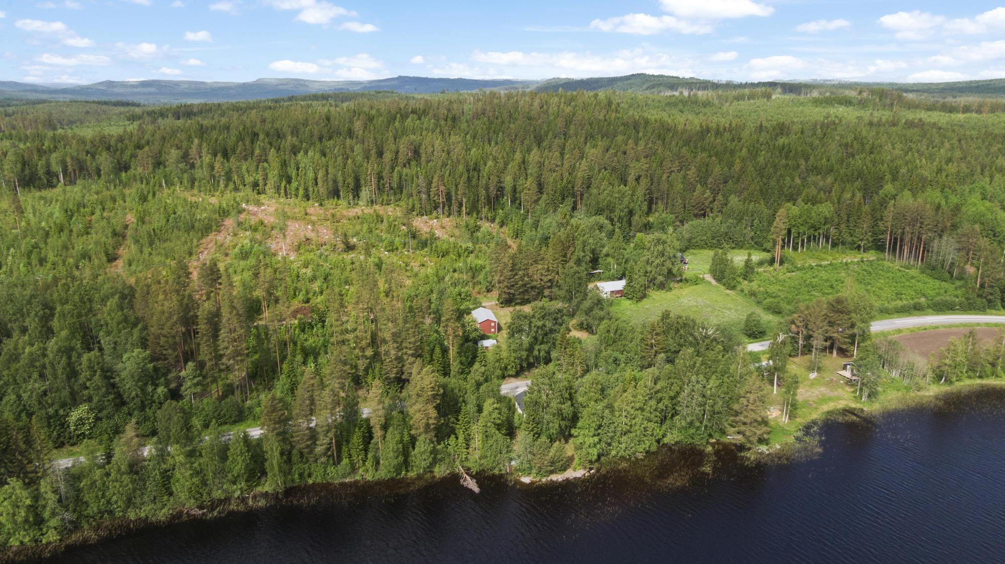 Sweden estate