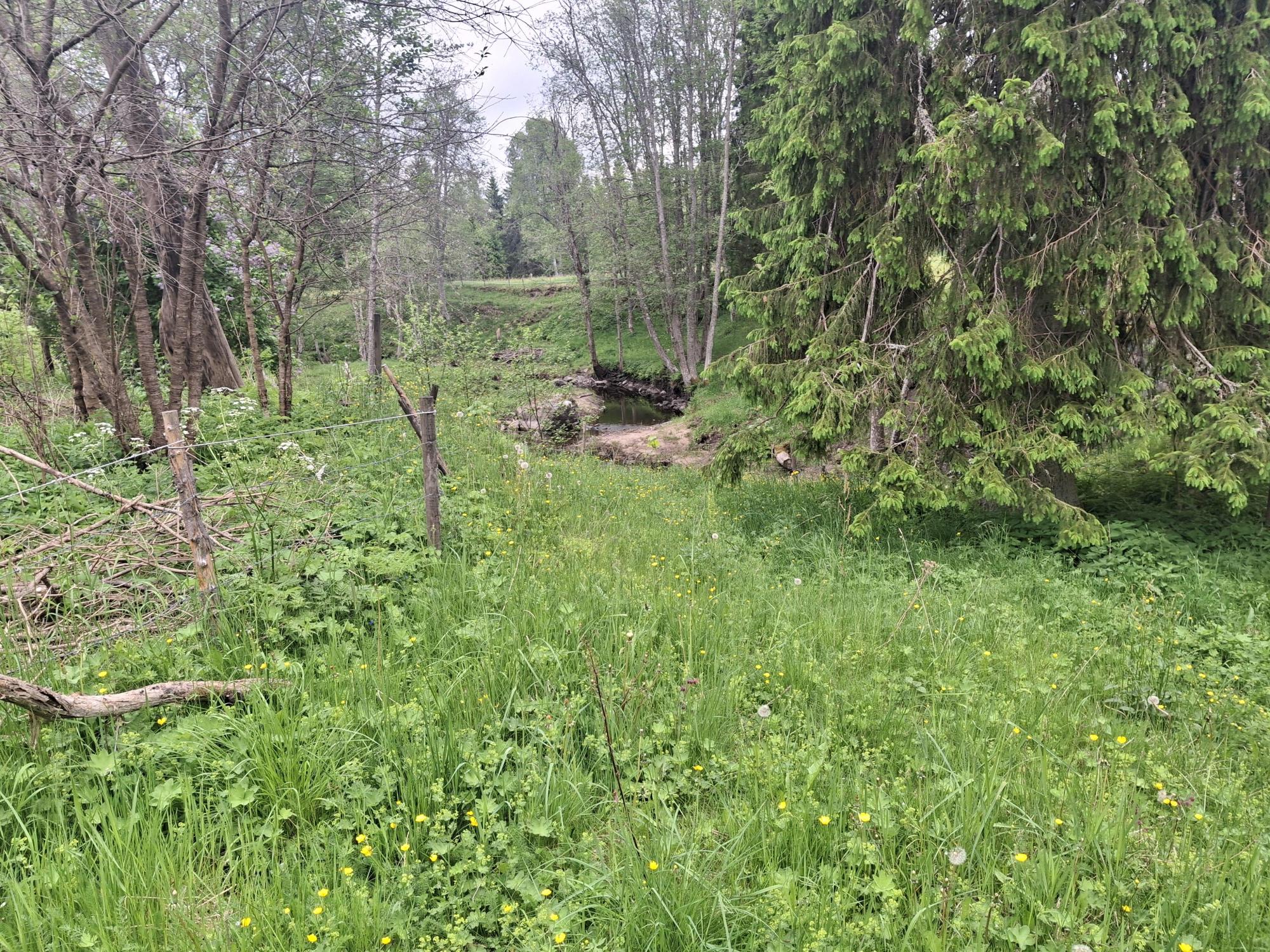 Sweden estate