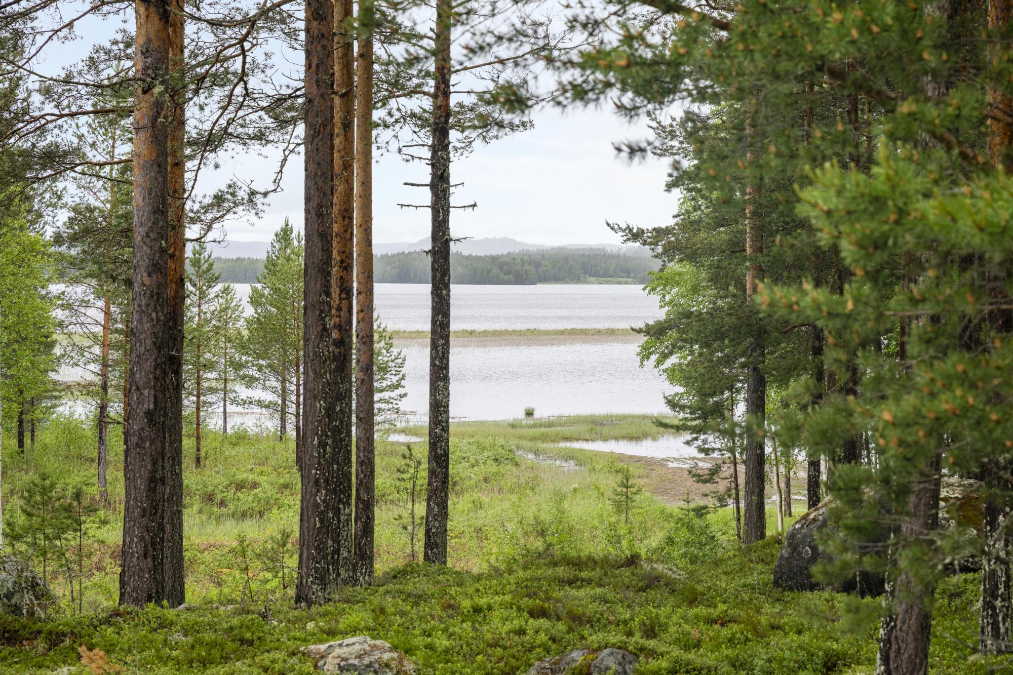 Sweden estate