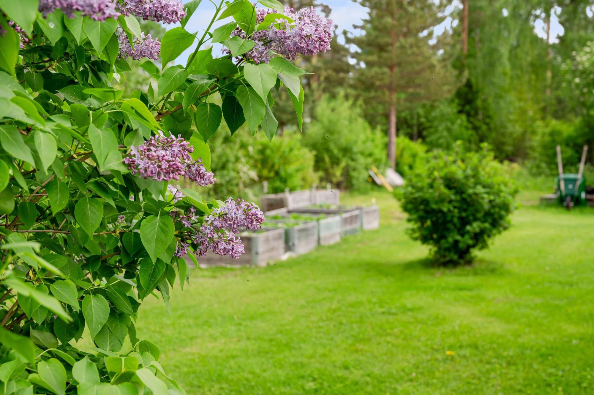 Sweden estate