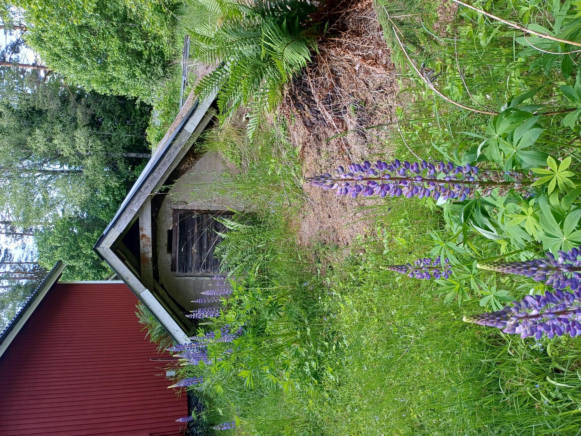 Sweden estate