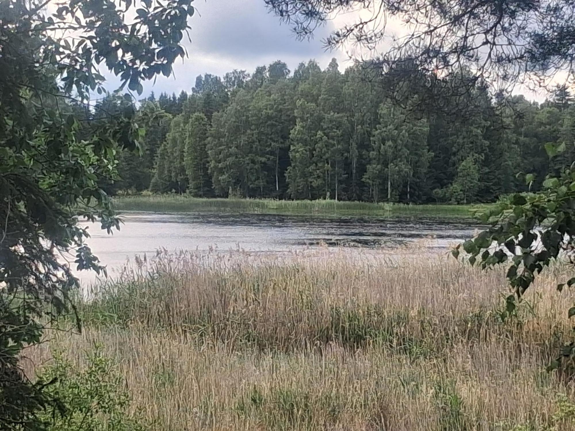 Sweden estate