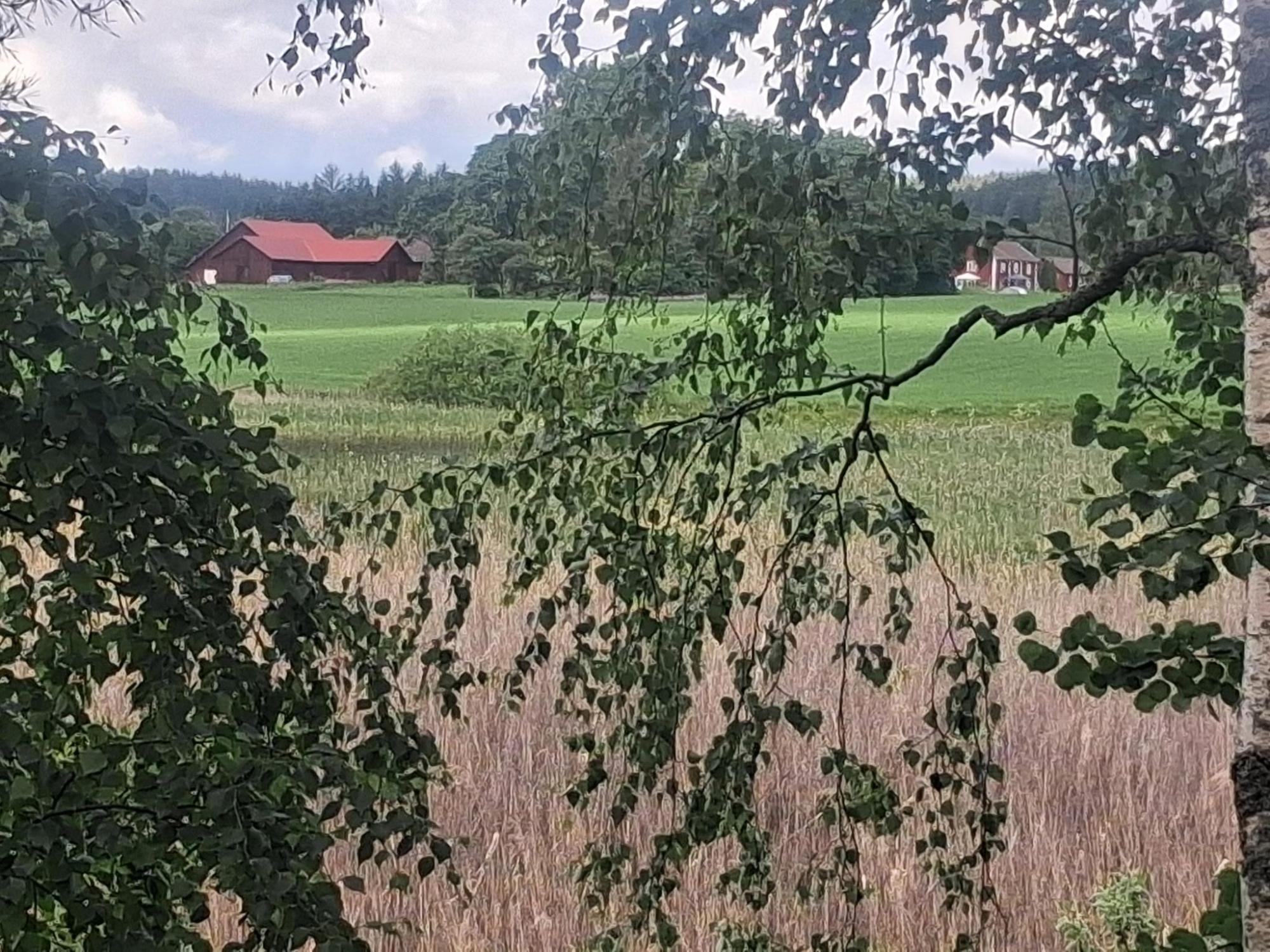 Sweden estate