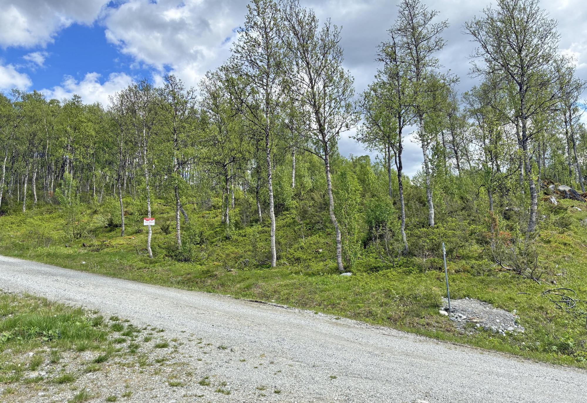 Sweden estate