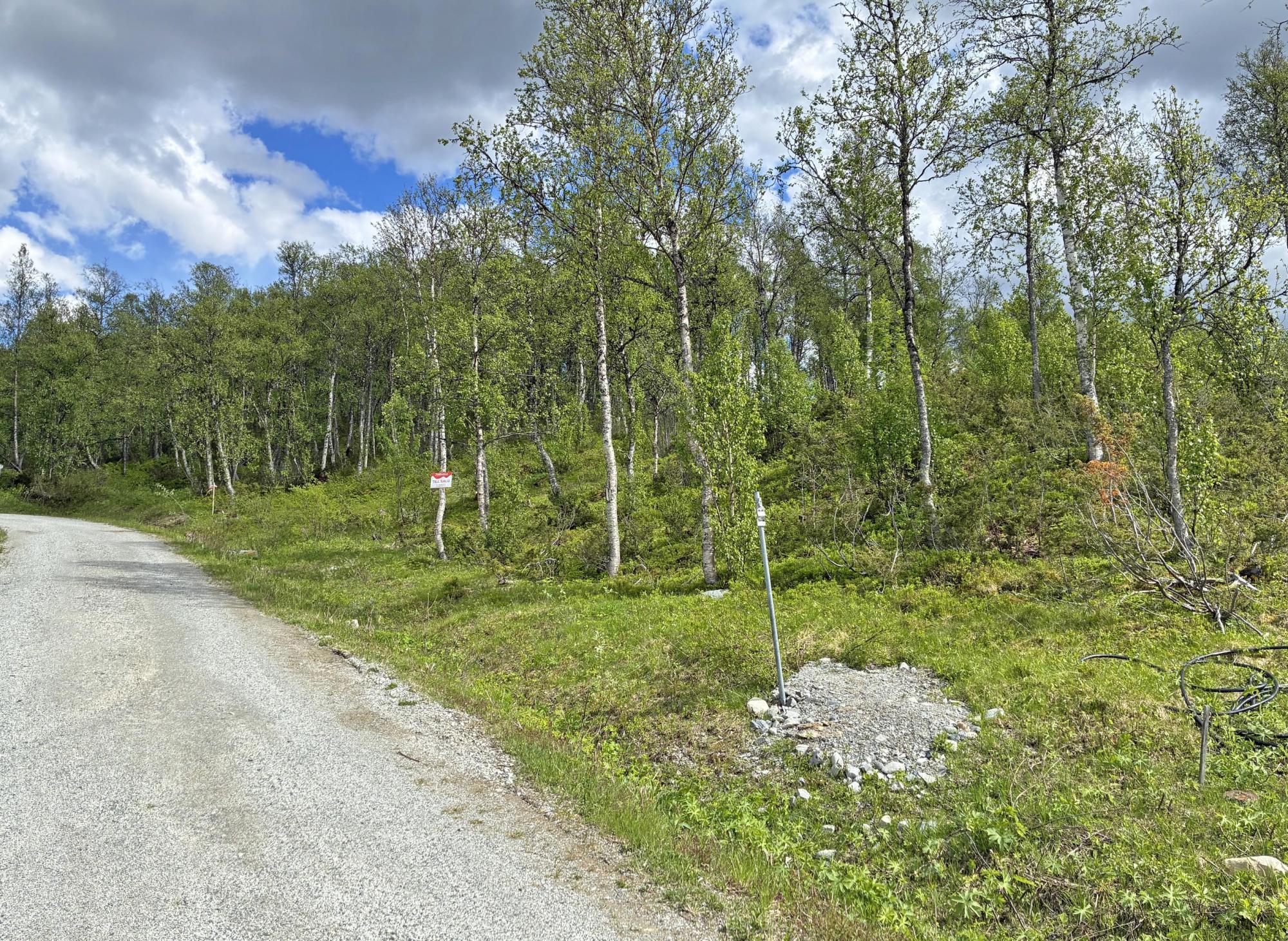 Sweden estate