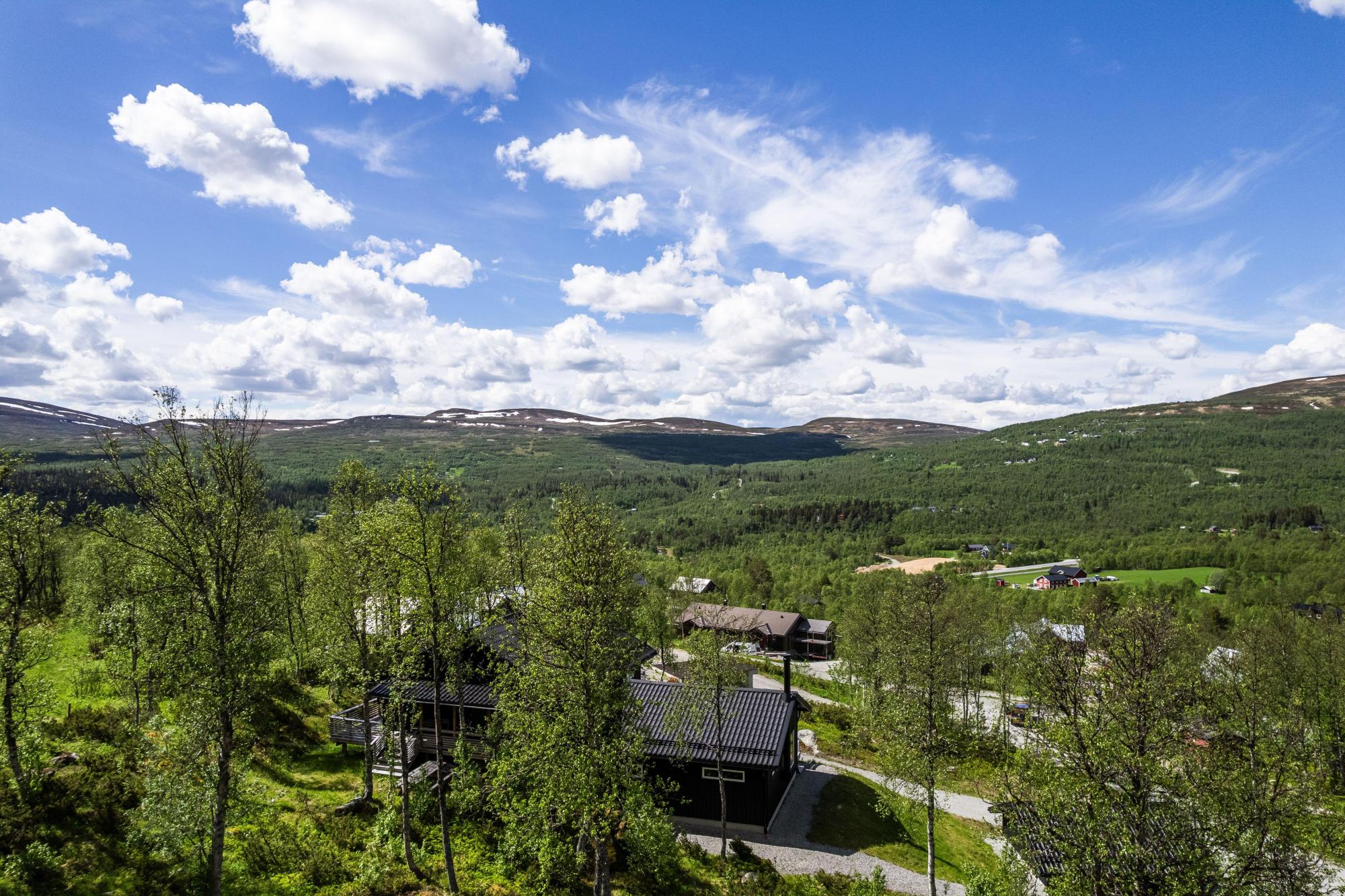 Sweden estate