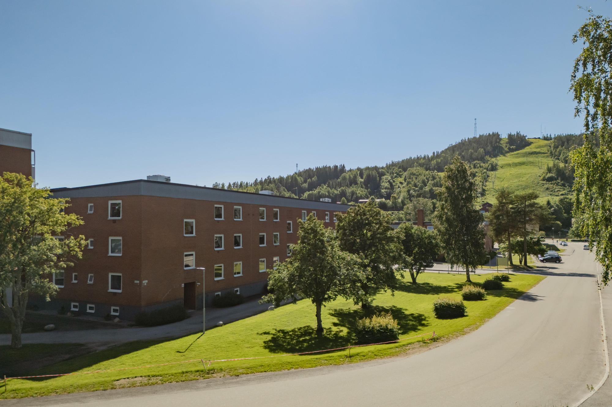 Sweden estate