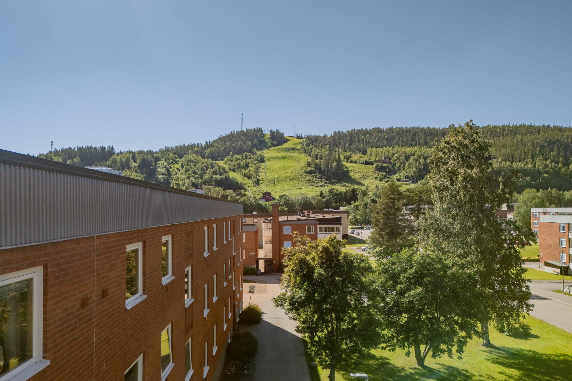 Sweden estate