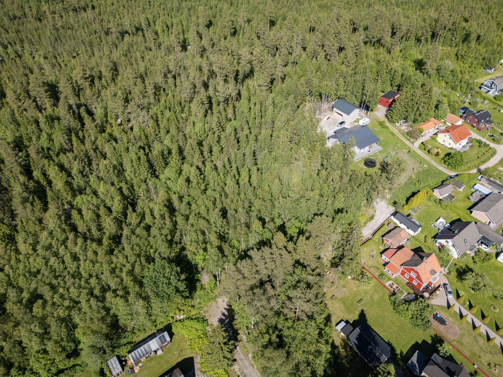 Sweden estate